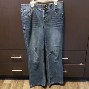 Lane Bryant Tighter Tummy Jeans